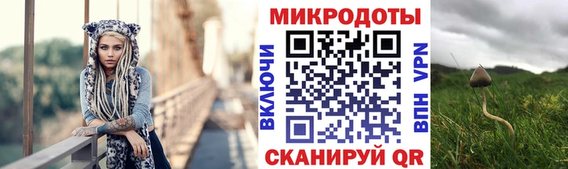 Псилоцибиновые грибы мухоморы  shop какой сайт  Тогучин  дарнет шоп 